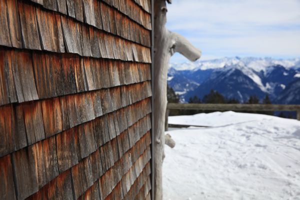 Cedar Siding Repair in Missouri City