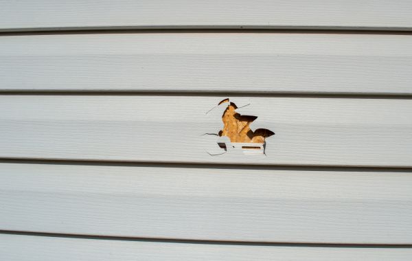 Siding Hole Patching in Missouri City